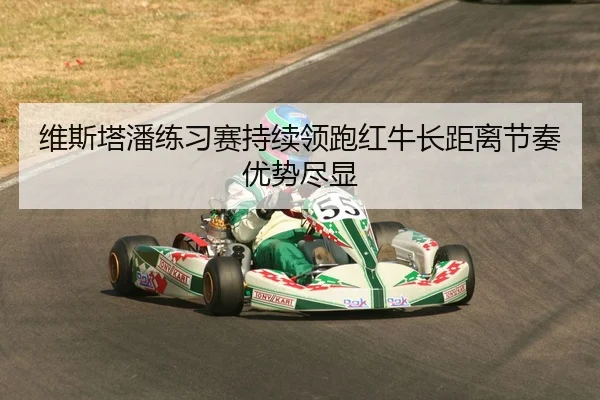 维斯塔潘练习赛持续领跑红牛长距离节奏优势尽显（YABO.COMapp）
