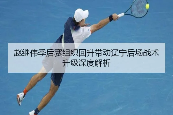 赵继伟季后赛组织回升带动辽宁后场战术升级深度解析（YABO.COMapp）