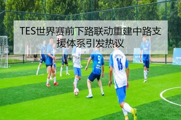 TES世界赛前下路联动重建中路支援体系引发热议（YABO.COMapp）